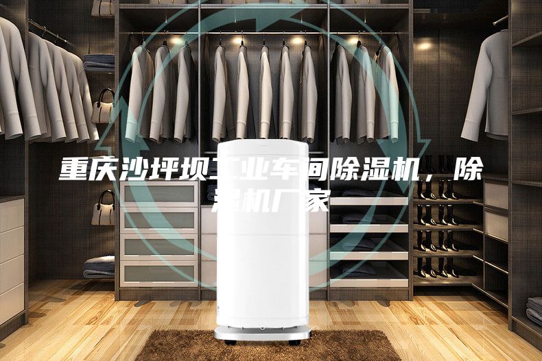 重慶沙坪壩工業(yè)車間除濕機(jī)，除濕機(jī)廠家