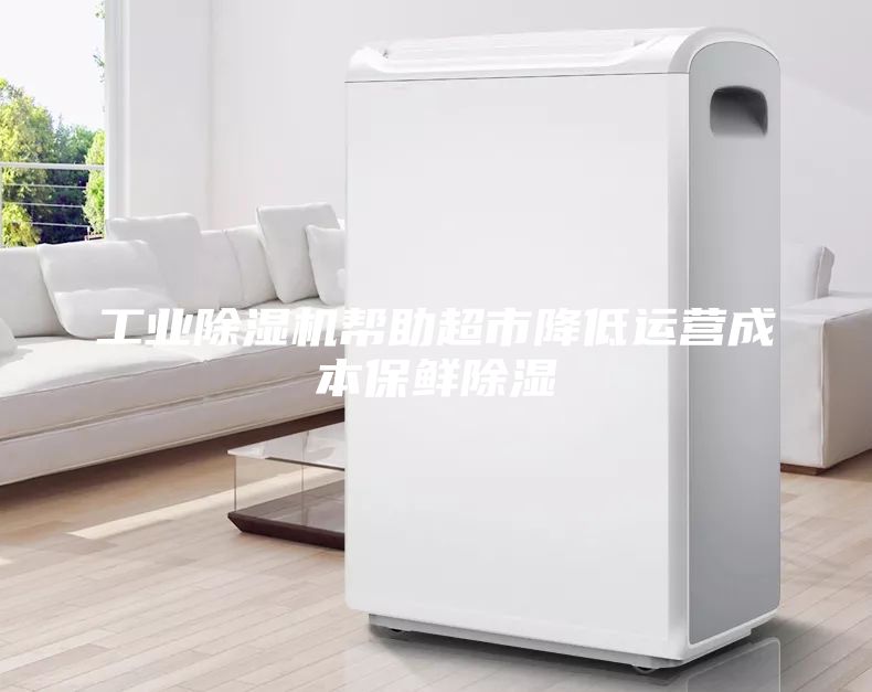 工業(yè)除濕機(jī)幫助超市降低運(yùn)營(yíng)成本保鮮除濕