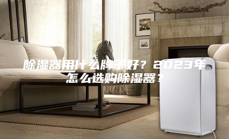 除濕器用什么牌子好？2023年怎么選購除濕器？