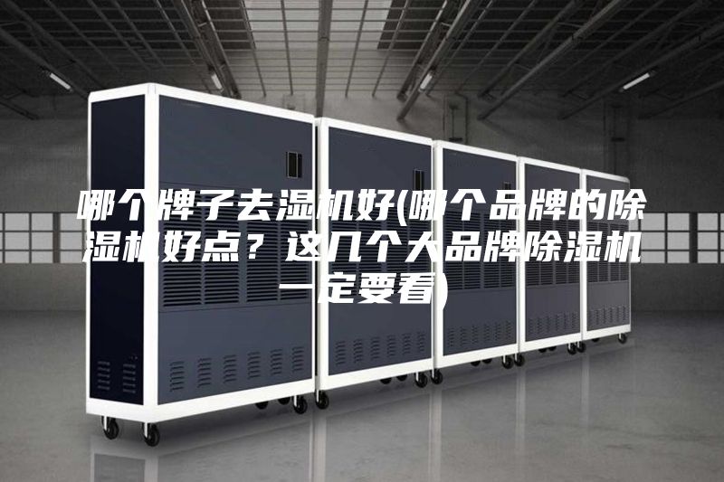 哪個牌子去濕機好(哪個品牌的除濕機好點？這幾個大品牌除濕機一定要看)
