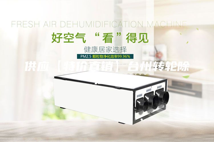 供應(yīng)【特價(jià)直銷(xiāo)】臺(tái)州轉(zhuǎn)輪除濕機(jī)
