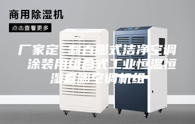 廠家定 制直膨式潔凈空調 涂裝用組合式工業(yè)恒溫恒濕直膨空調機組
