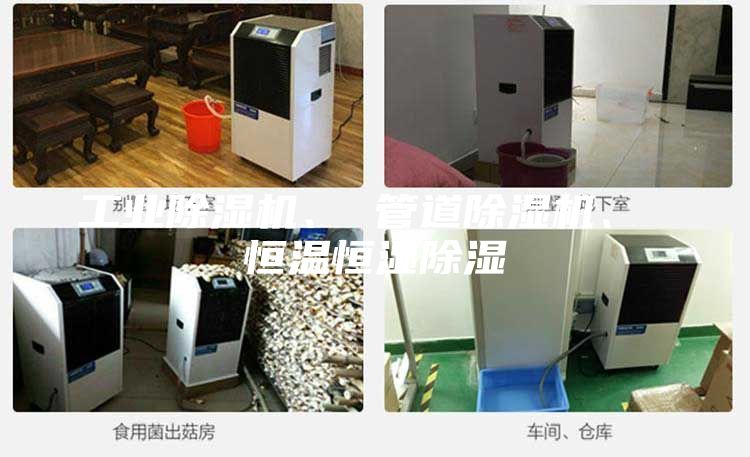 工業(yè)除濕機、 管道除濕機、 恒溫恒濕除濕
