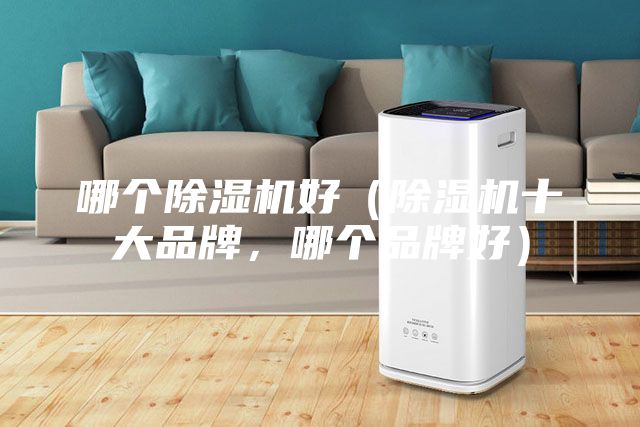 哪個(gè)除濕機(jī)好（除濕機(jī)十大品牌，哪個(gè)品牌好）