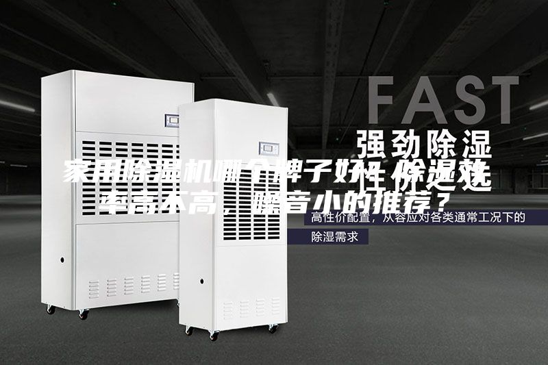 家用除濕機(jī)哪個(gè)牌子好？除濕效率高不高，噪音小的推薦？