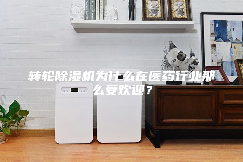 轉輪除濕機為什么在醫(yī)藥行業(yè)那么受歡迎？
