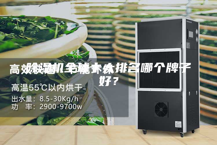 除濕機(jī)全球十大排名哪個(gè)牌子好？