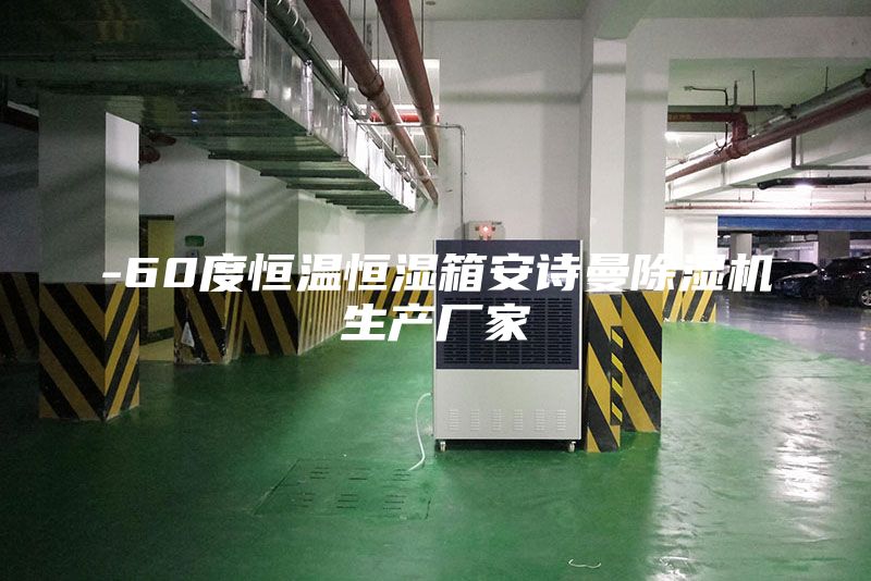 -60度恒溫恒濕箱安詩曼除濕機(jī)生產(chǎn)廠家