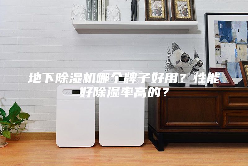 地下除濕機(jī)哪個牌子好用？性能好除濕率高的？