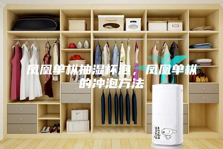 鳳凰單樅抽濕杯泡，鳳凰單樅的沖泡方法