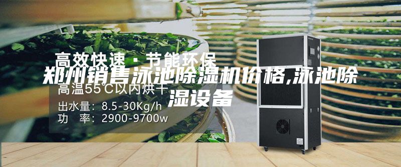 鄭州銷(xiāo)售泳池除濕機(jī)價(jià)格,泳池除濕設(shè)備