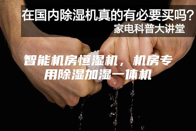 智能機(jī)房恒濕機(jī)，機(jī)房專用除濕加濕一體機(jī)