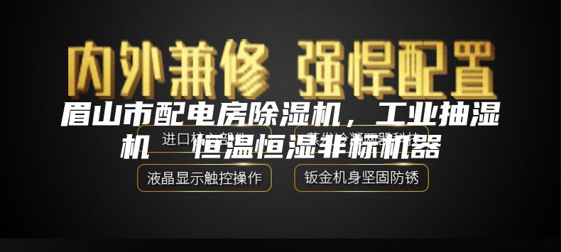 眉山市配電房除濕機(jī)，工業(yè)抽濕機(jī)  恒溫恒濕非標(biāo)機(jī)器