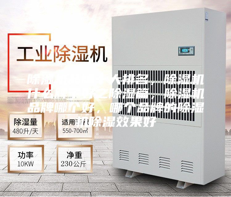 除濕機(jī)品牌十大排名，除濕機(jī)什么牌子好之除濕篇，除濕機(jī)品牌哪個(gè)好，哪個(gè)品牌的除濕機(jī)除濕效果好