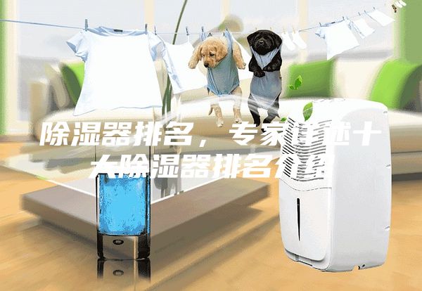 除濕器排名，專家詳述十大除濕器排名介紹