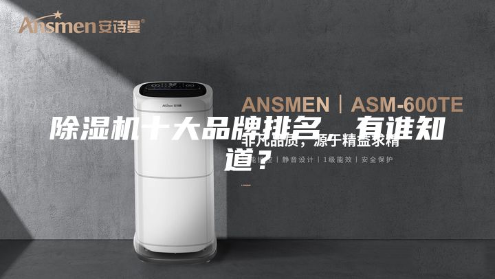 除濕機(jī)十大品牌排名，有誰知道？
