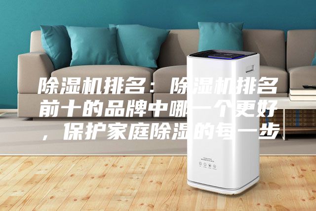除濕機(jī)排名：除濕機(jī)排名前十的品牌中哪一個更好，保護(hù)家庭除濕的每一步