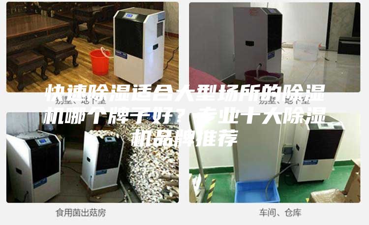 快速除濕適合大型場所的除濕機哪個牌子好？專業(yè)十大除濕機品牌推薦