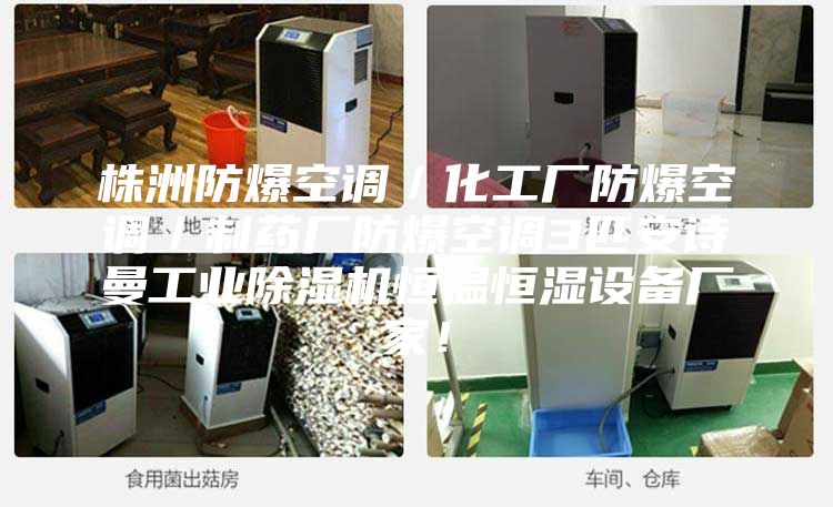 株洲防爆空調(diào)／化工廠防爆空調(diào)／制藥廠防爆空調(diào)3匹安詩曼工業(yè)除濕機恒溫恒濕設(shè)備廠家！