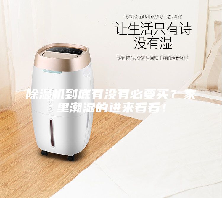 除濕機到底有沒有必要買？家里潮濕的進來看看！