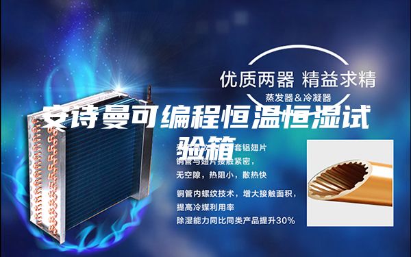 安詩(shī)曼可編程恒溫恒濕試驗(yàn)箱