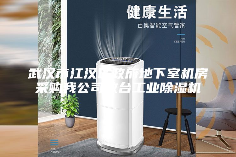 武漢市江漢區(qū)政府地下室機(jī)房采購我公司數(shù)臺工業(yè)除濕機(jī)