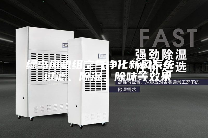 綠島風機組空氣凈化新風系統(tǒng)  過濾、除濕、除味等效果