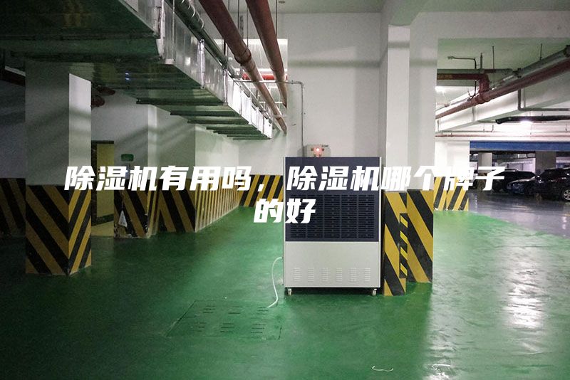 除濕機(jī)有用嗎,除濕機(jī)哪個(gè)牌子的好