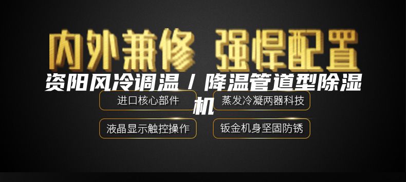 資陽(yáng)風(fēng)冷調(diào)溫/降溫管道型除濕機(jī)