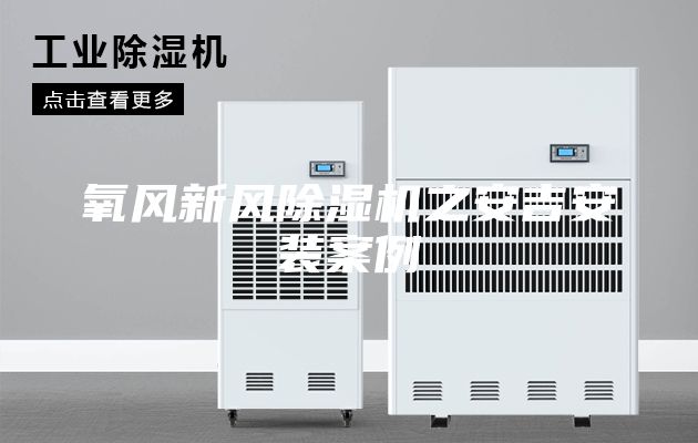 氧風(fēng)新風(fēng)除濕機(jī)之安吉安裝案例