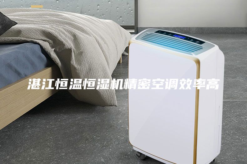 湛江恒溫恒濕機精密空調(diào)效率高
