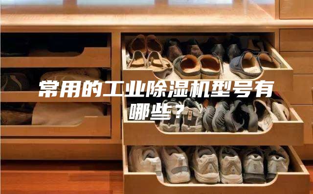 常用的工業(yè)除濕機型號有哪些？