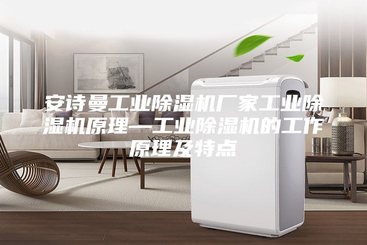 安詩(shī)曼工業(yè)除濕機(jī)廠家工業(yè)除濕機(jī)原理—工業(yè)除濕機(jī)的工作原理及特點(diǎn)