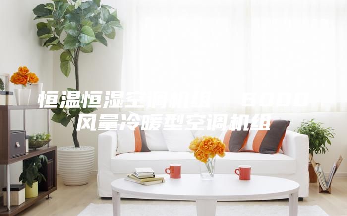 恒溫恒濕空調(diào)機(jī)組 6000風(fēng)量冷暖型空調(diào)機(jī)組