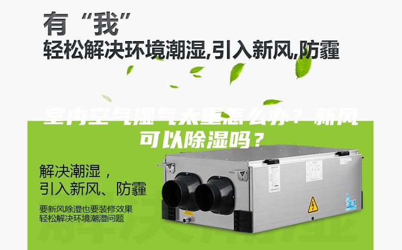 室內(nèi)空氣濕氣太重怎么辦？新風(fēng)可以除濕嗎？