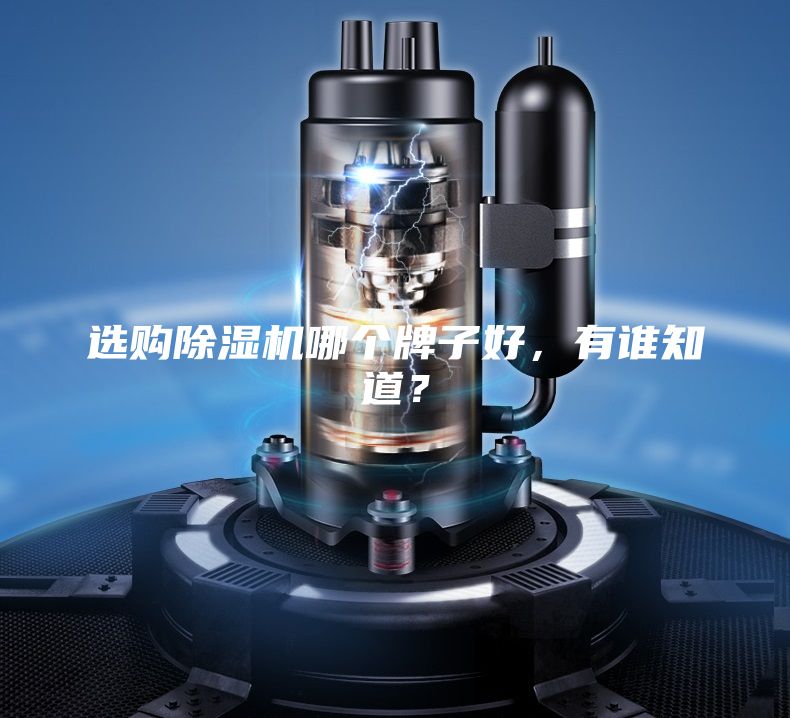 選購(gòu)除濕機(jī)哪個(gè)牌子好，有誰(shuí)知道？