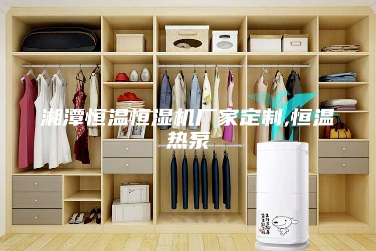 湘潭恒溫恒濕機廠家定制,恒溫?zé)岜?/></p>
                            <p style=