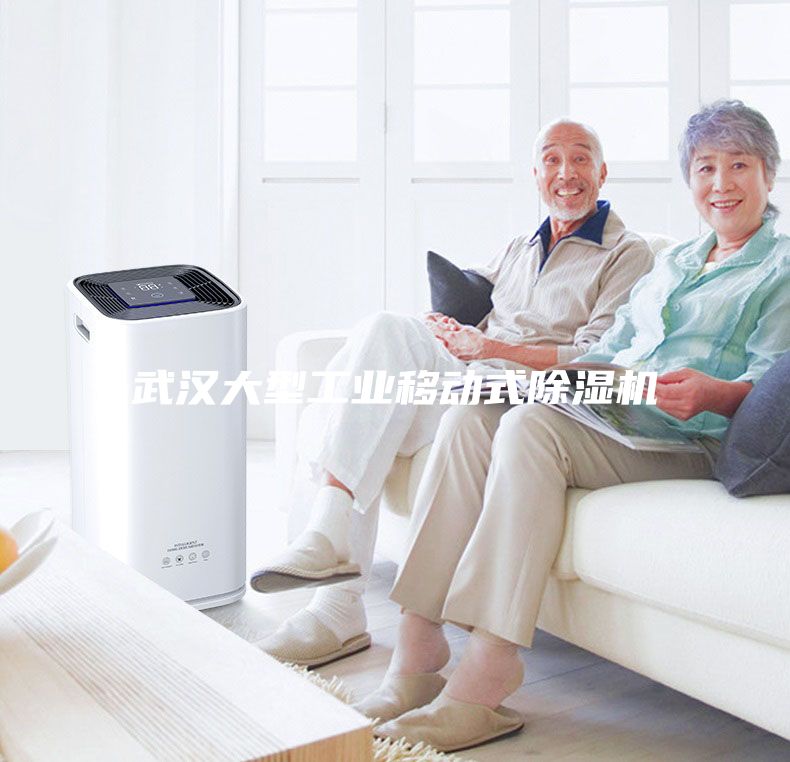 武漢大型工業(yè)移動式除濕機(jī)