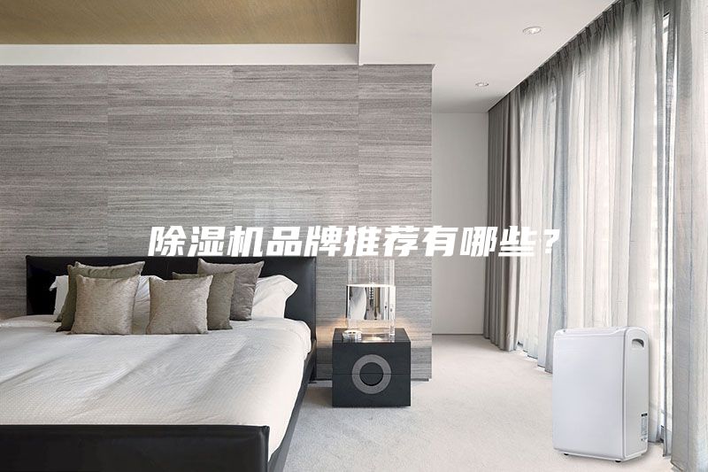除濕機品牌推薦有哪些？