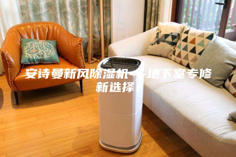安詩(shī)曼新風(fēng)除濕機(jī)---地下室專(zhuān)修新選擇！
