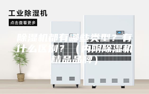 除濕機(jī)都有哪些類型？有什么區(qū)別？（內(nèi)附除濕機(jī)精品品牌）