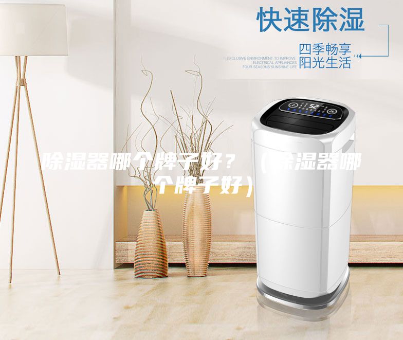 除濕器哪個牌子好？（除濕器哪個牌子好）