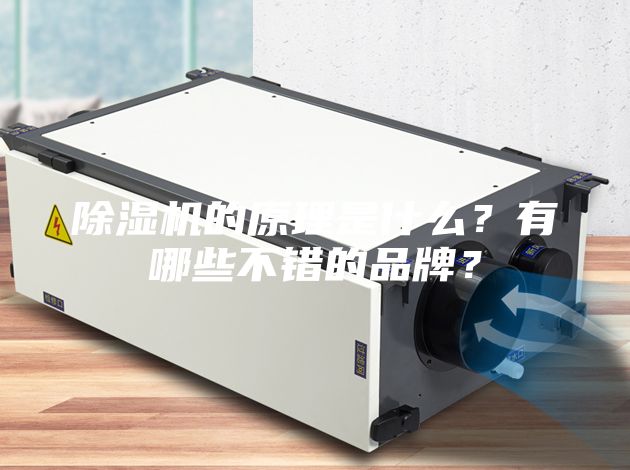 除濕機(jī)的原理是什么？有哪些不錯(cuò)的品牌？