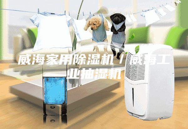 威海家用除濕機/威海工業(yè)抽濕機