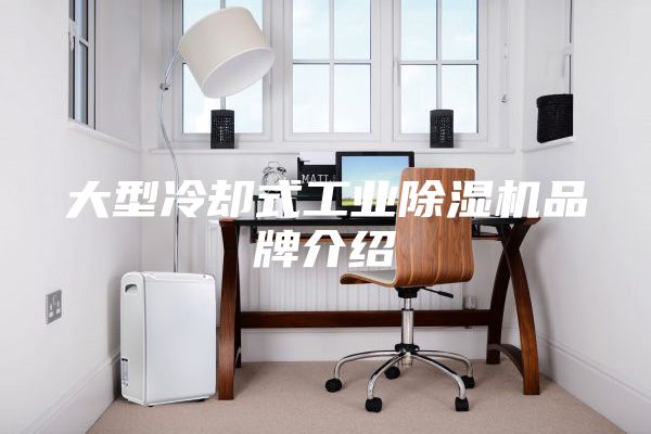 大型冷卻式工業(yè)除濕機(jī)品牌介紹