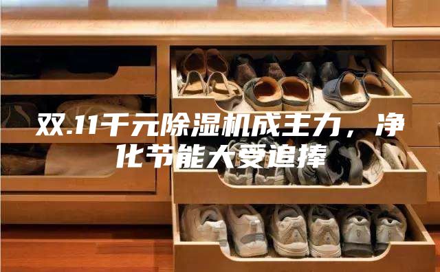 雙.11千元除濕機(jī)成主力，凈化節(jié)能大受追捧