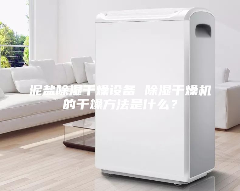泥鹽除濕干燥設備 除濕干燥機的干燥方法是什么？