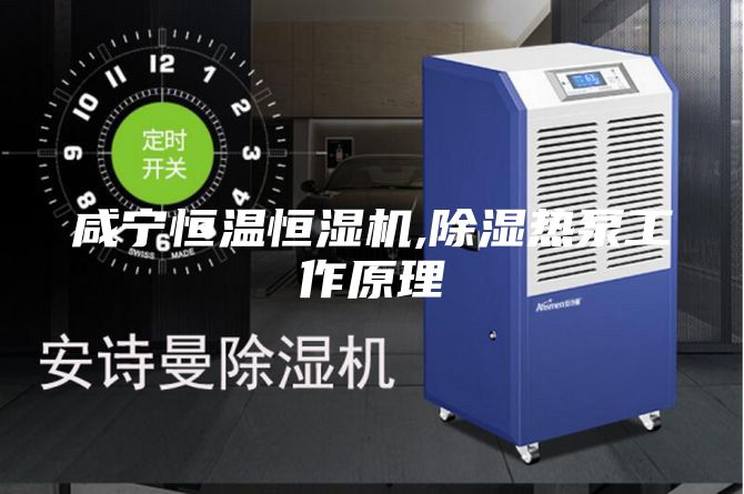 咸寧恒溫恒濕機(jī),除濕熱泵工作原理
