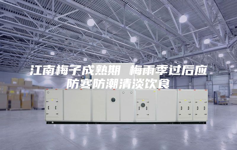 江南梅子成熟期 梅雨季過(guò)后應(yīng)防寒防潮清淡飲食