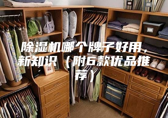 除濕機(jī)哪個(gè)牌子好用，新知識(shí)（附6款優(yōu)品推薦）